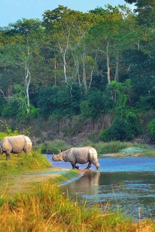 Kathmandu: 4-Day Private Chitwan National Park Safari Tour - Price and Value: What $202 Per Person Really Buys