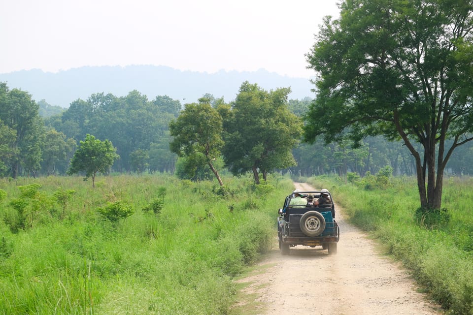 Kathmandu: 4-Day Private Chitwan National Park Safari Tour - Who This Private Chitwan Safari Suits Best
