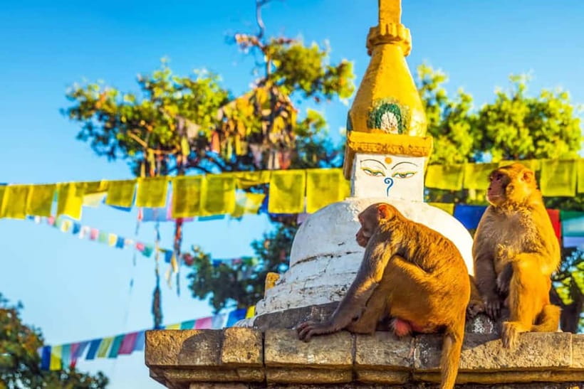 Kathmandu 4-Heritage Sites Tour - Time, Pace, and Why the Guide Can Make or Break the Day
