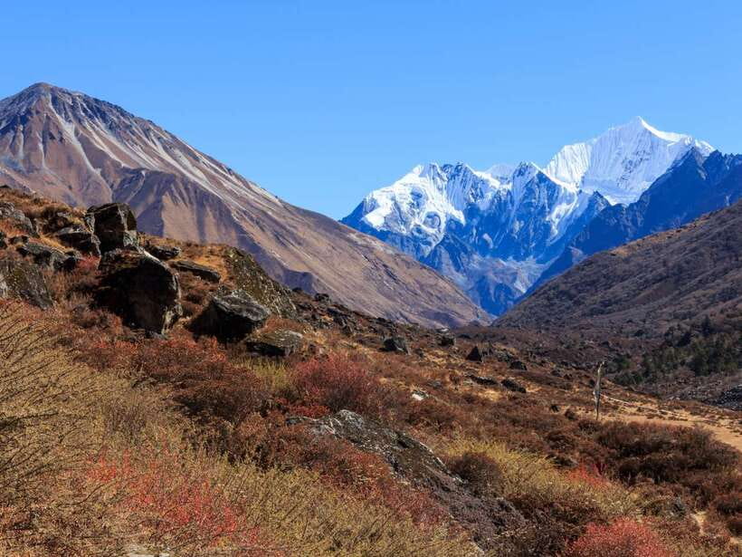 Kathmandu: 6 Days Langtang Valley Trek with Kyanjin Ri - What Makes This Trek Worth Your Time (6 quick hits)