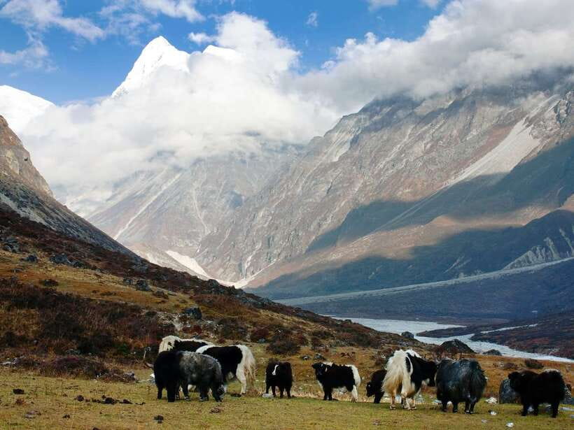 Kathmandu: 6 Days Langtang Valley Trek with Kyanjin Ri - Ghoda Tabela to Kyanjin Gompa: Tamang Life at High Elevation