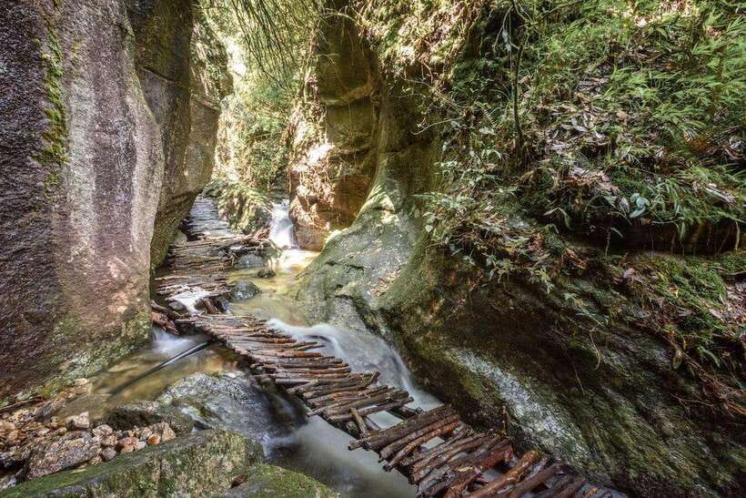 Kathmandu: Shivapuri Hill Day Hike with Lunch box - Key highlights you’ll actually care about