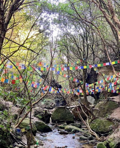 Kathmandu: Shivapuri Hill Day Hike with Lunch box - The real meaning of 7 hours (and why timing matters)