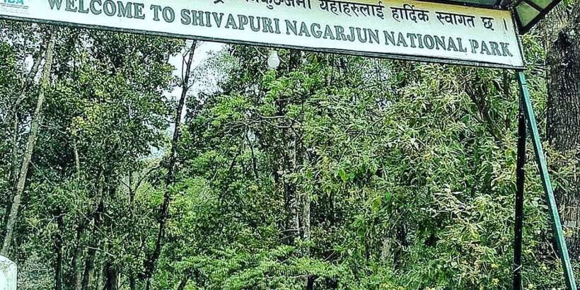 Kathmandu: Shivapuri National park Day Hiking - The $49 Price: What You Get and What Costs Extra