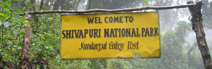 Kathmandu: Shivapuri National park Day Hiking - Guides Matter: The Team Makes or Breaks This Day
