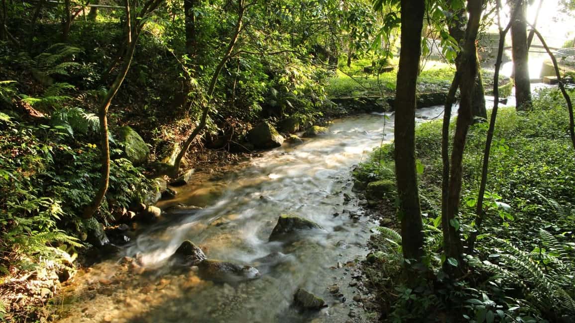 Kathmandu: Shivapuri National Park Hiking Day Trip - Shivapuri Peak: when the forest thins into big sky
