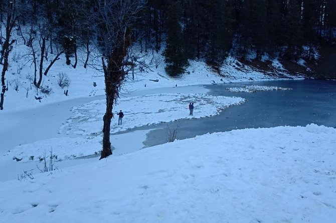 Kedarkantha Trek (Dehradun to Dehradun) - Guides and group vibe: where this trek feels authentic