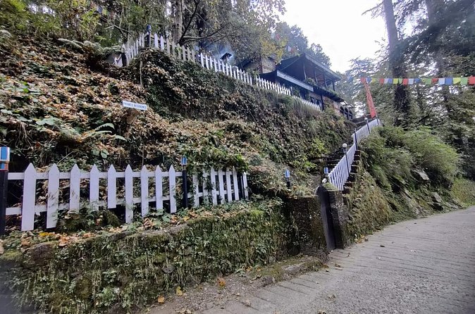Landour Figure of Eight Walk - Price and value: what $11.32 really buys you