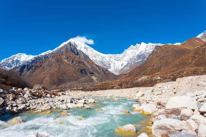 Langtang Valley Trek - Walking back to Lama Hotel: pines, wildlife odds, and giant beehives