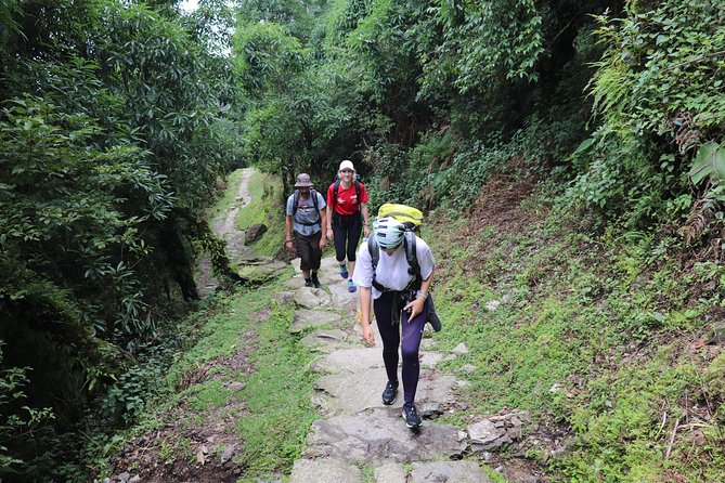 Mardi Himal Base Camp Trek (5 Days) - Key Highlights Worth Paying Attention To