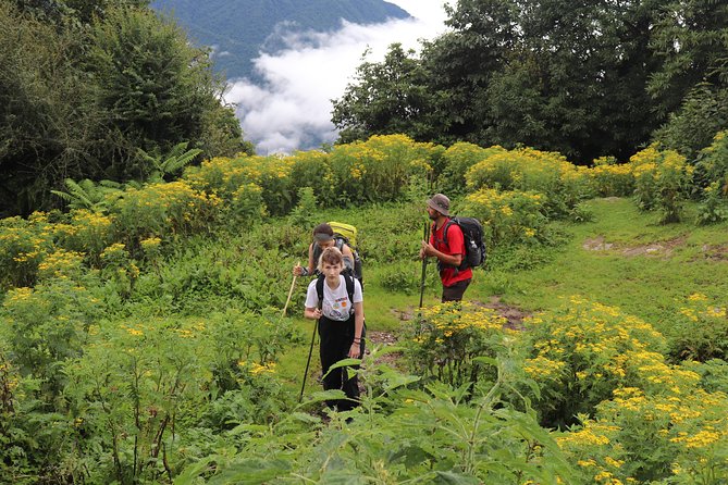 Mardi Himal Base Camp Trek (5 Days) - Getting Oriented in Pokhara: Lakeside Start, Early Momentum