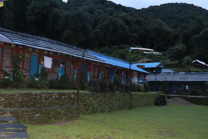 Mardi Himal Base Camp Trek (5 Days) - Day 1: Pokhara to Forest Camp (Expect Your First Real Climb)