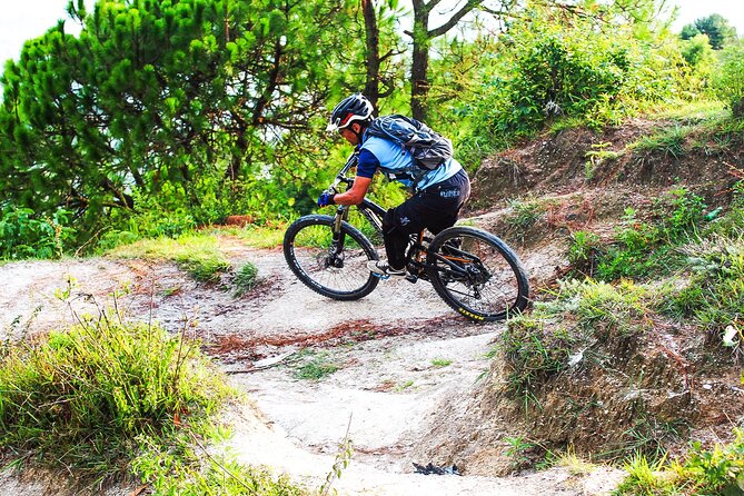 Mountain Bike Tour - Who this tour suits best (and who should skip it)
