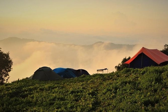 Nag Tibba 2 Days Trek (Pantwari to Pantwari) - Quick highlights