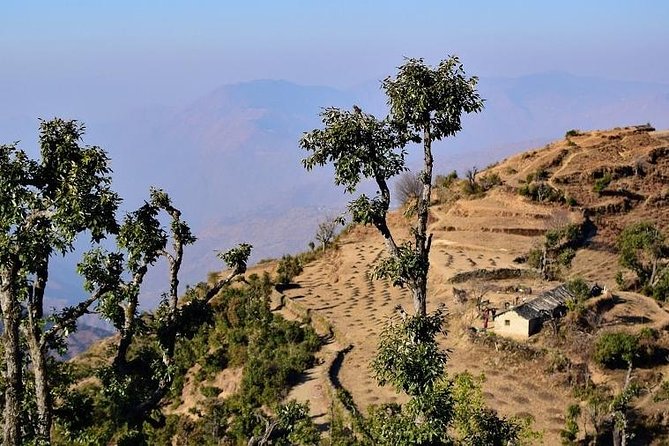 Nag Tibba 2 Days Trek (Pantwari to Pantwari) - Weather is the real schedule boss
