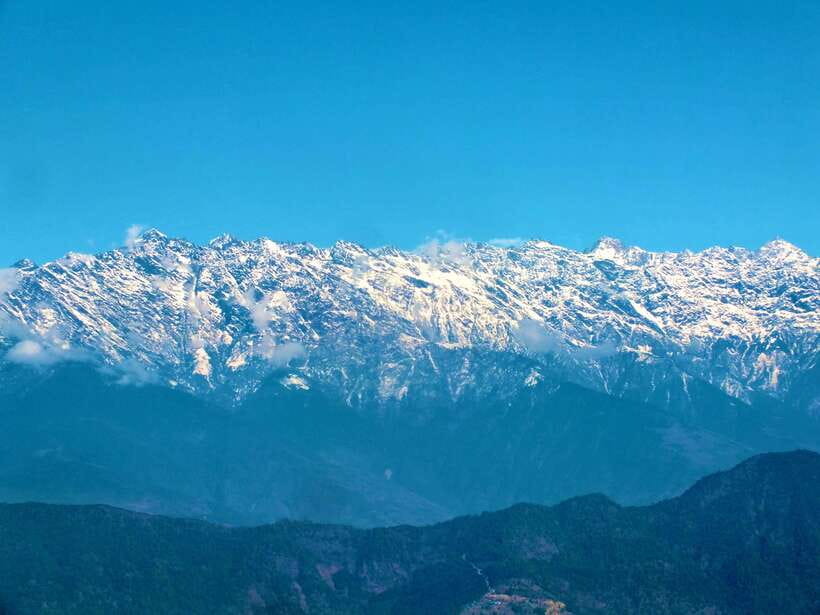 Nagarjun Jamacho Day Hike – Stunning Valley Himalayan Views - The uphill forest walk: rhododendron colors, birdsong, and steady breathing