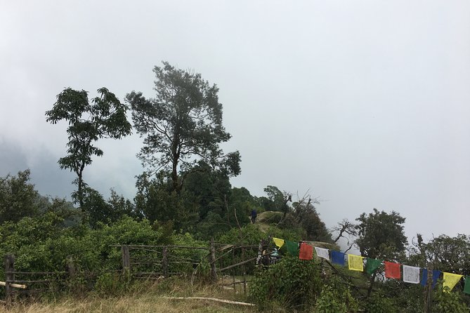 Overnight Dhampus Australian Camp Easy Hiking from Pokhara - Kande to Australian Camp: The Uphill You’ll Actually Notice