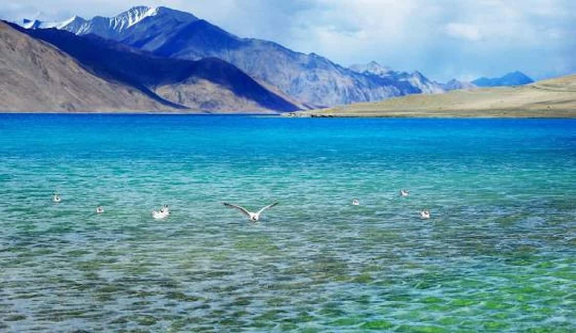 Overnight Pangong Tour From Leh With Thiksey & Shey Palace - Key Points You’ll Care About