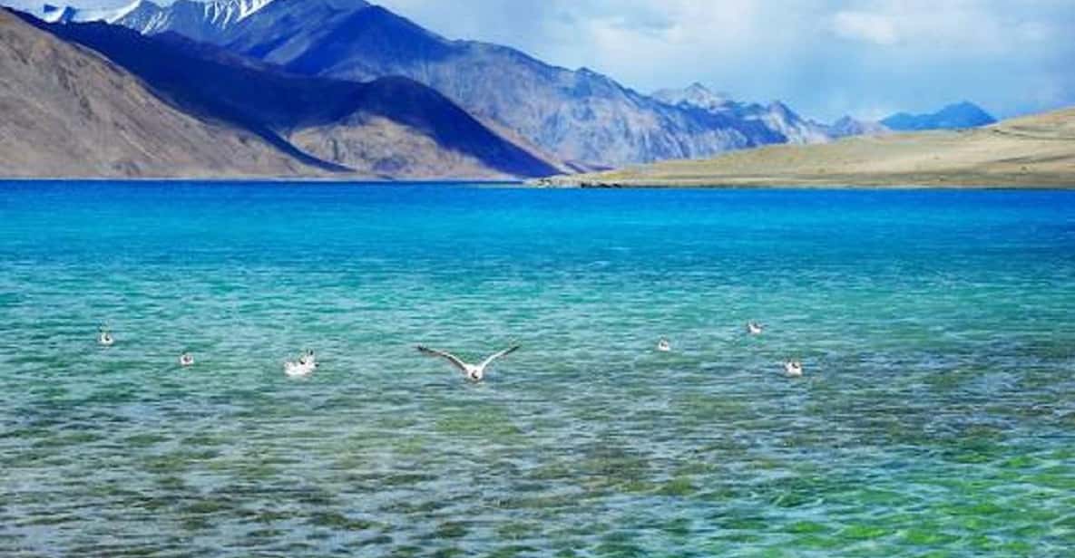 Overnight Pangong Tour From Leh With Thiksey & Shey Palace - Shey Palace: Former Summer Capital Over the Indus Valley