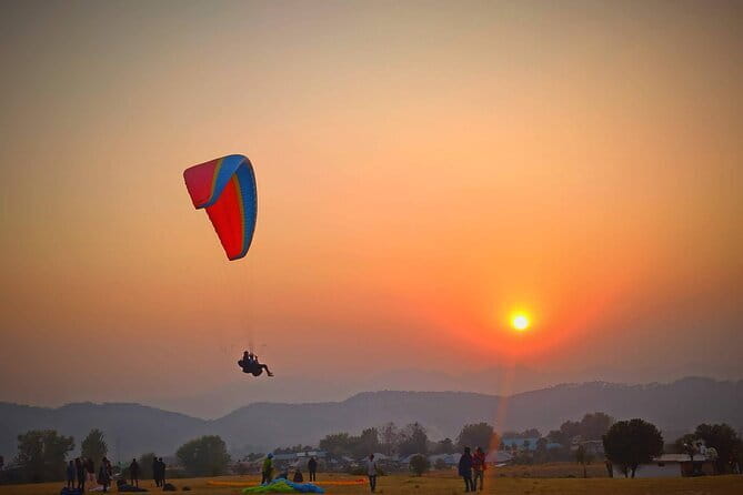 Palampur and Bir Tour, Tea Gardens, Adventures and Paragliding - Key takeaways before you go