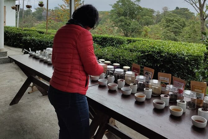 Palampur and Bir Tour, Tea Gardens, Adventures and Paragliding - Tea tasting and Kangri Dham lunch: where the value hides