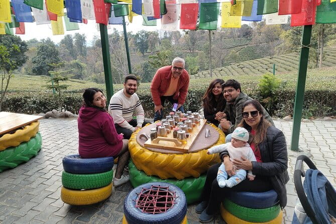 Palampur Tea Garden Tour - The Kangra tea tasting: use your senses like a pro