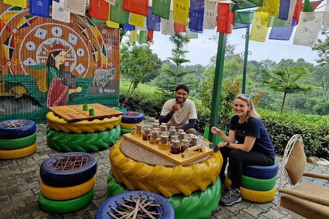 Palampur Tea Garden Tour - Timing, pickup, and why the price feels fair
