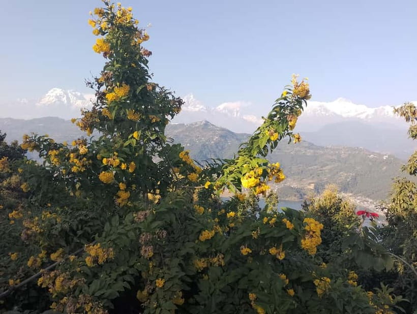 Peace & Panorama: Stupa and Pumdikot Scenic Drive Tour - How private car value really plays out at $32 per person