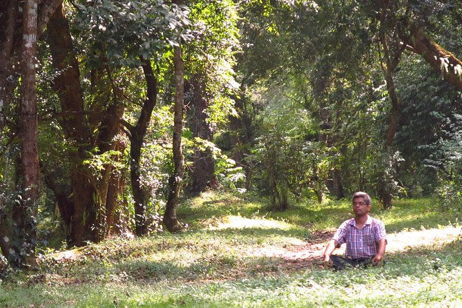 Pharping Asura Cave Meditation Tour - The Hike Through Monasteries and Temples (and How Not to Rush It)