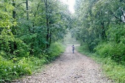 Phulchoki bird-watching tour - The Godawari Hike via Naudhara: How the Guide Finds Birds