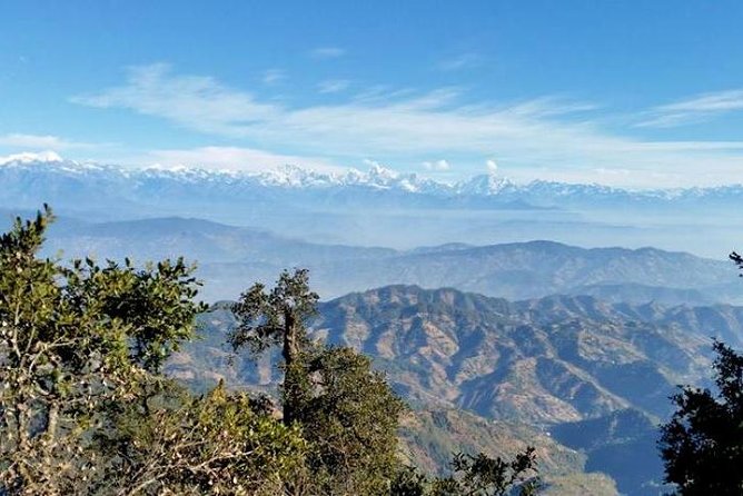 Phulchoki bird-watching tour - Price and Value: Is $324 a Smart Spend?