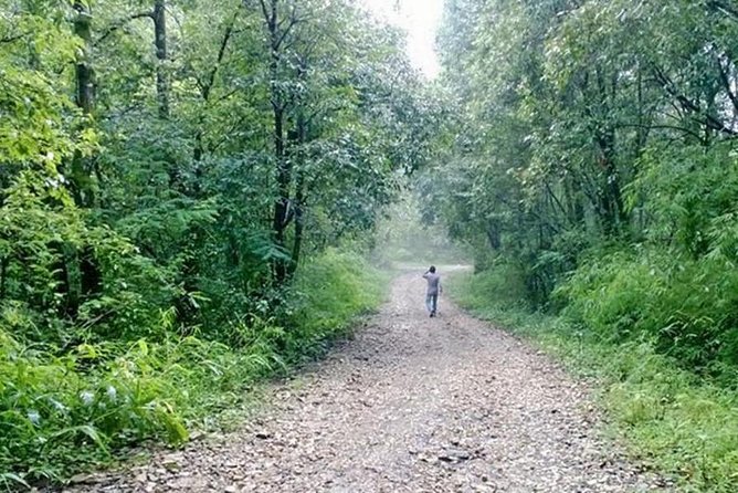 Phulchoki bird-watching tour - The Godawari Hike via Naudhara: How the Guide Finds Birds