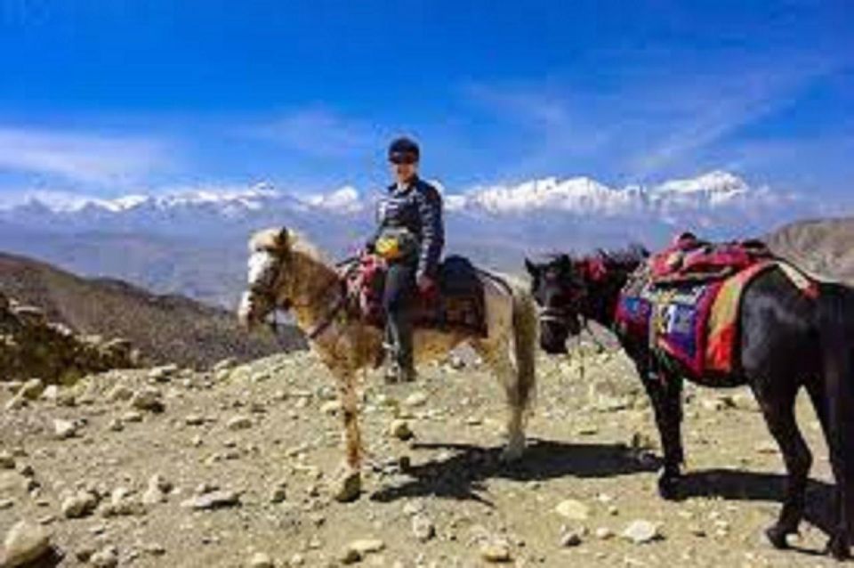 Pokhara: 1-Hour Horseback Ride with Hotel Pickup - Key things to know before you ride