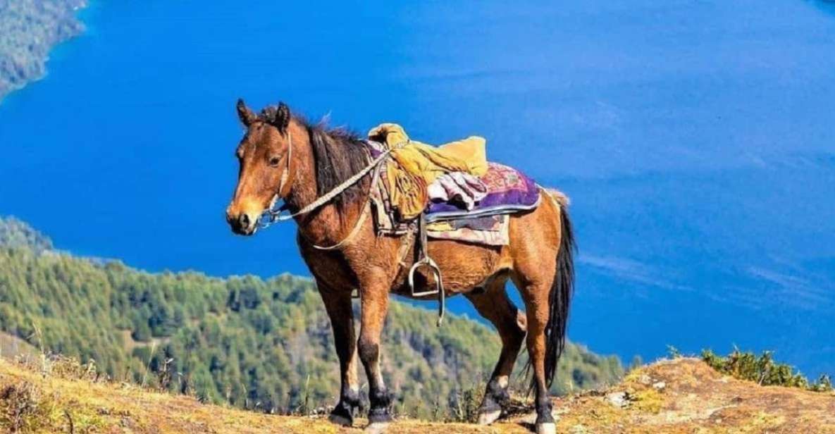 Pokhara: 1-Hour Horseback Ride with Hotel Pickup - Hotel pickup to horse saddle: how the experience starts