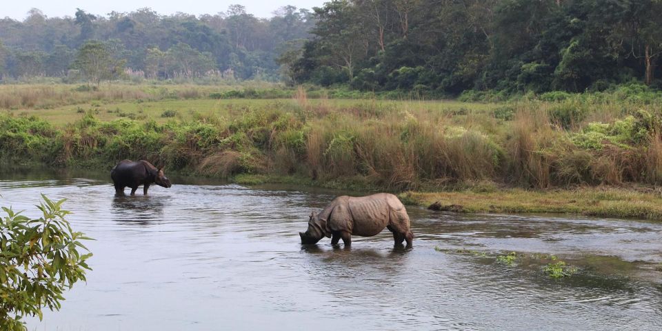 Pokhara: 1 Night 2 Day Chitwan Safari Tour - Getting to Chitwan: The 7am Pickup and Tourist Bus Plan