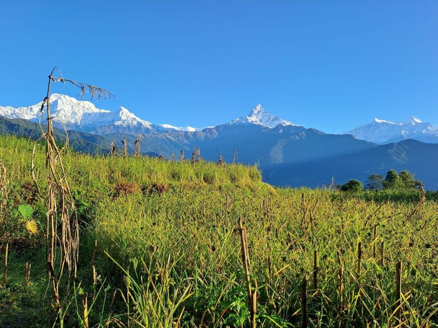 Pokhara: 2-Day Australian Camp & Dhampus Village Easy Hike - Australian Camp and Dhampus: why this 2-day hike works from Pokhara