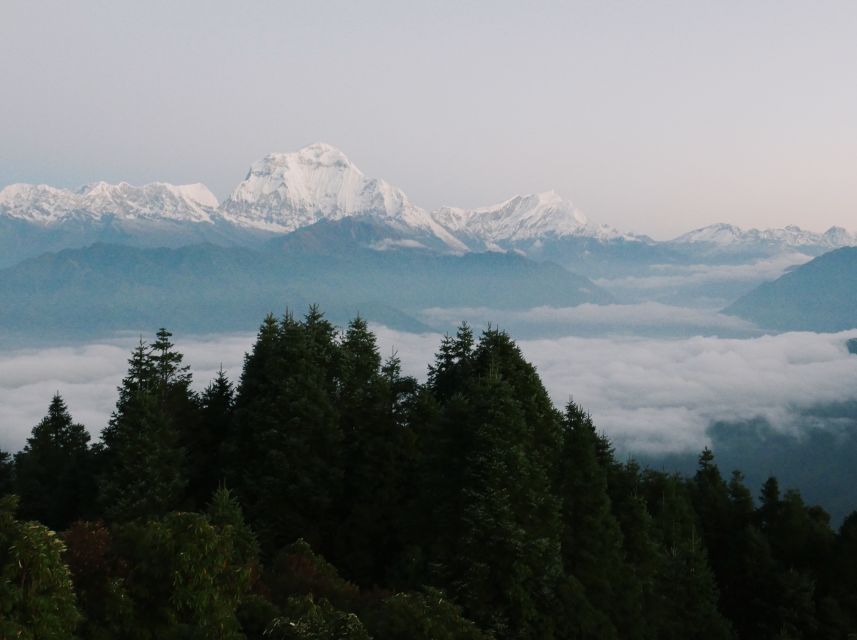 Pokhara: 3-Day Ghorepani and Poon Hill Trek - Guides and support: why the experience feels organized