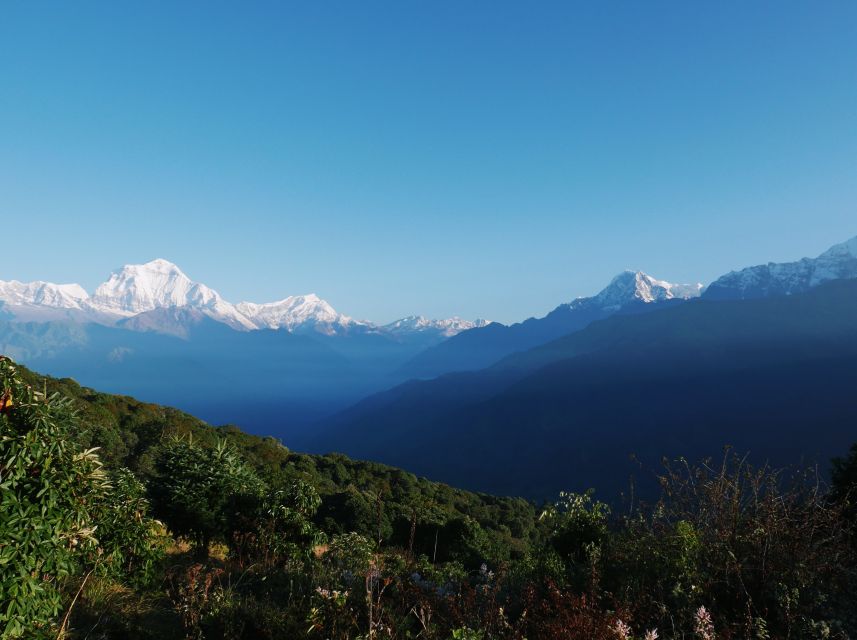 Pokhara: 3-Day Ghorepani and Poon Hill Trek - Price and logistics: is $127 good value?