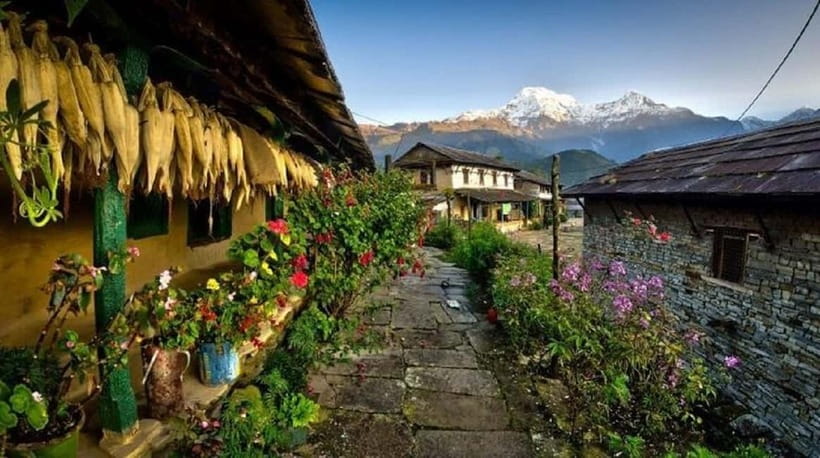 Pokhara: 3-Day Ghorepani, Poon Hill & Ghandruk Guided Trek - Day 2: Poon Hill Sunrise, Then the Ridge Walk Toward Tadapani or Ghandruk