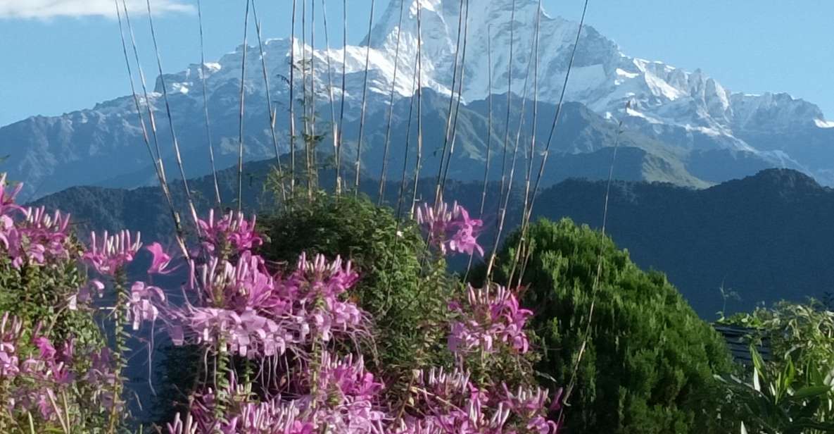Pokhara: 3-Day Trek - A Real Himalayan Taste Without the Long Haul