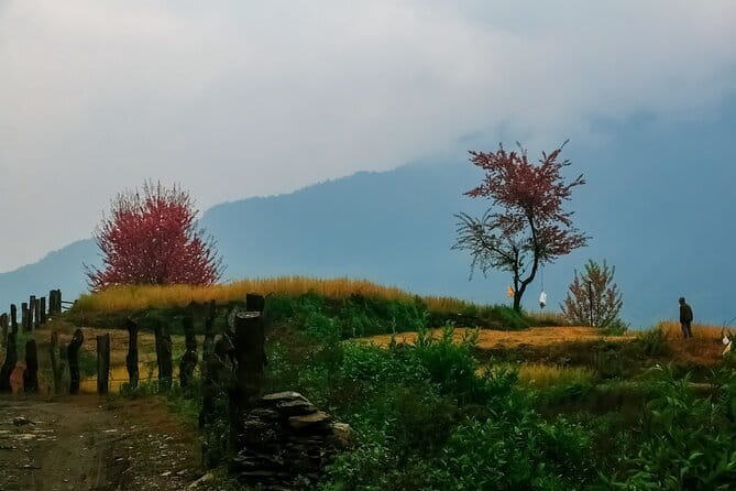 Pokhara 3 Days Ghorepani and Poon Hill Private Trek via Ghandruk - Day 3: Ghandruk Morning Views, Nayapul, and Back to Pokhara