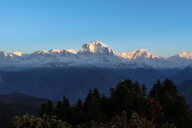 Pokhara 3 Days Ghorepani and Poon Hill Private Trek via Ghandruk - Price and Value: Is $218 a Good Deal?