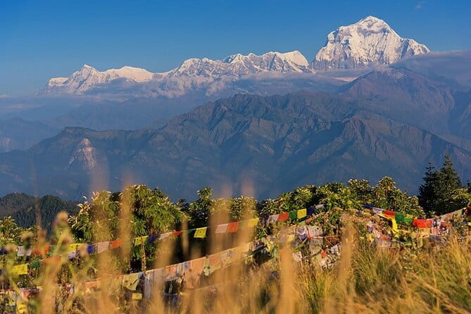 Pokhara 3 Days Ghorepani and Poon Hill Private Trek via Ghandruk - Day 2: Poon Hill at 3,210m, Then Down to Ghandruk (6 Hours Trek)