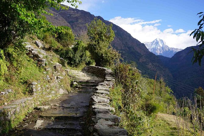 Pokhara: 4 Day Poon Hill Trek - Pokhara Start: Why This Trek Works for Limited Time