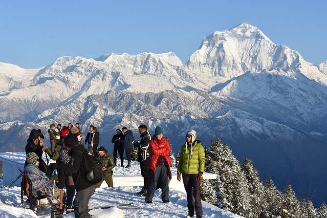 Pokhara: 4 Day Poon Hill Trek - Guides Make the Difference: Mr. Bharat, Dadhi Ram, Govinda, Som Tripathi