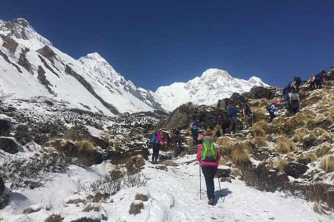 Pokhara: 4 Day Poon Hill Trek - Price and Value: What $235 Covers (and What You Still Need to Budget)