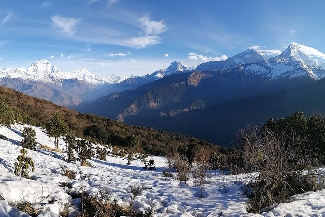 Pokhara: 4 Day Poon Hill Trek - Day-by-Day Walk: Tikhedhunga, Ghorepani, Poon Hill, Ghandruk