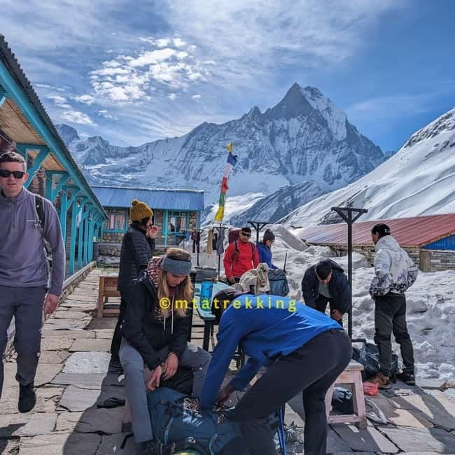 Pokhara: 5-Day Annapurna Base Camp (ABC) Trek - Day 4: Base camp panoramas, then down to Bamboo (recovery is part of the trek)
