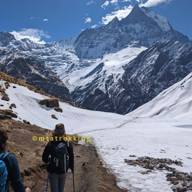 Pokhara: 5-Day Annapurna Base Camp (ABC) Trek - The guiding style: why an English guide changes the experience