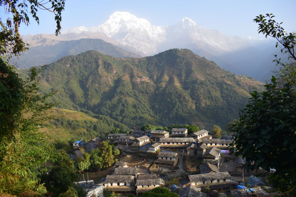 Pokhara: 5-Day Ghorepani and Poon Hill Private Trek - Day 4: Tadapani (2,610 m) to Ghandruk (1,940 m)